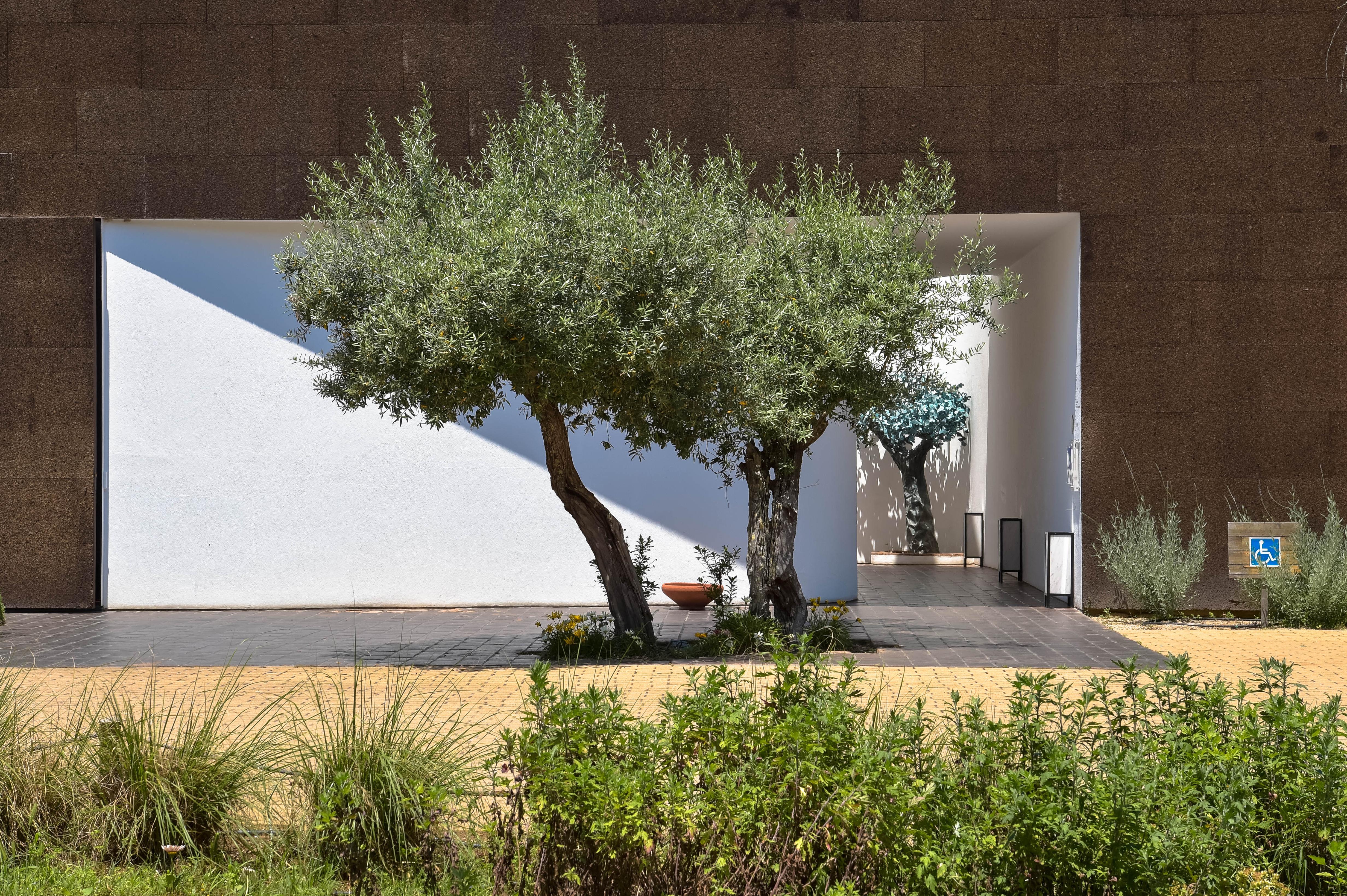 The Lince Ecorkhotel Evora Bagian luar foto